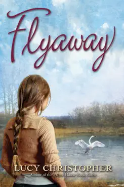 flyaway book cover image