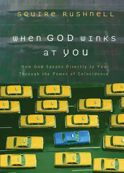 when god winks at you book cover image