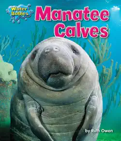 manatee calves book cover image