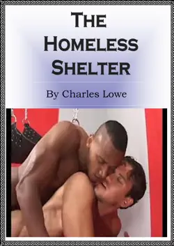 the homeless shelter book cover image
