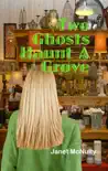Two Ghosts Haunt A Grove synopsis, comments