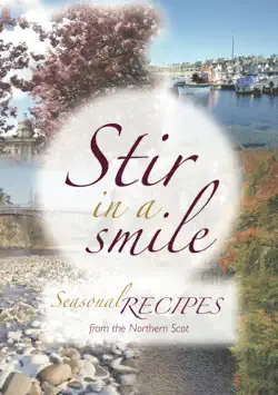 stir in a smile book cover image