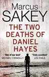 The Two Deaths of Daniel Hayes sinopsis y comentarios