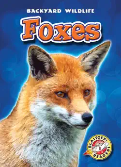 foxes book cover image
