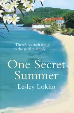 one secret summer book cover image