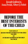 Before the Best Interests of the Child sinopsis y comentarios