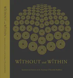 without and within imagen de la portada del libro
