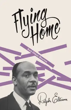 flying home book cover image