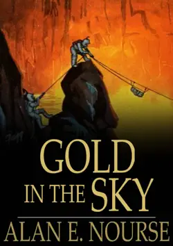 gold in the sky book cover image