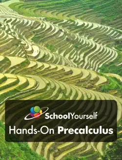 hands-on precalculus book cover image
