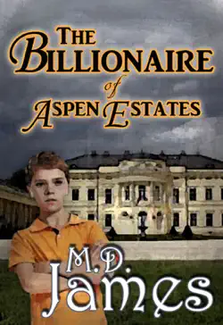 the billionaire of aspen estates (the concord series #1) book cover image