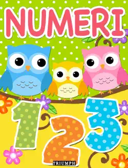 numeri book cover image