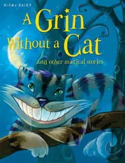a grin without a cat book cover image