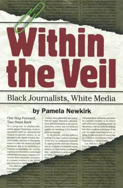 within the veil book cover image