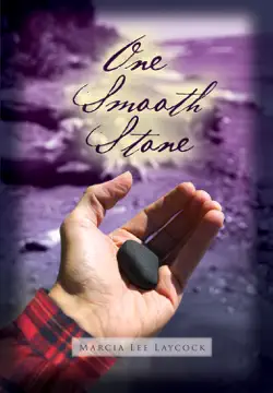 one smooth stone book cover image