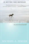 The Untethered Soul book summary, reviews and download