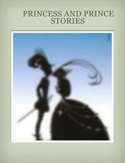 25 princess and prince stories book cover image