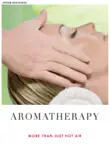 Aromatherapy - More Than Just Hot Air synopsis, comments