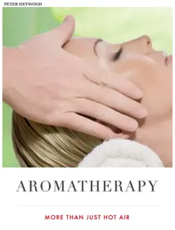 aromatherapy - more than just hot air book cover image