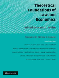 theoretical foundations of law and economics book cover image
