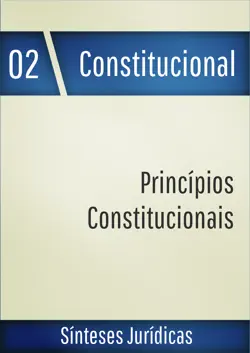 princípios constitucionais book cover image