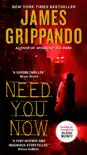 Need You Now synopsis, comments