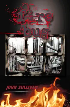firebug book cover image