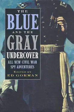 the blue and the gray undercover book cover image