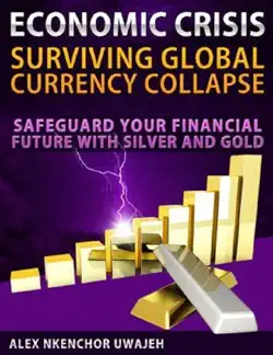 economic crisis book cover image