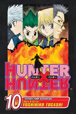 hunter x hunter, vol. 10 book cover image