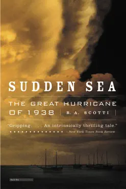 sudden sea book cover image