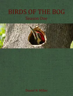 birds of the bog book cover image