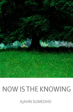 now is the knowing book cover image