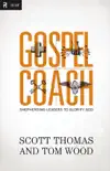 Gospel Coach synopsis, comments