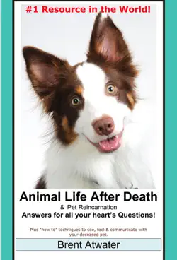 animal life after death & animal reincarnation- everything you always wanted to know! after-death do animals go to heaven? book cover image