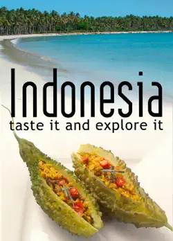 indonesia - taste it and explore it book cover image