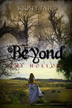 beyond the hollow book cover image