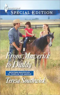 from maverick to daddy book cover image