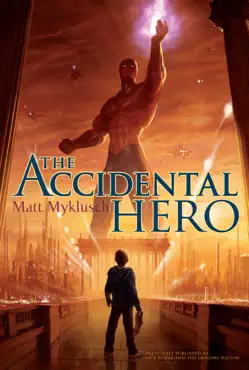 accidental hero book cover image