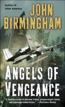 angels of vengeance book cover image