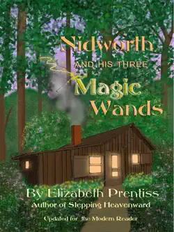 nidworth and his three magic wands book cover image