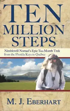 ten million steps book cover image