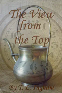 the view from the top book cover image