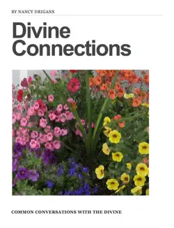divine connections imagen de la portada del libro