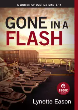 gone in a flash book cover image