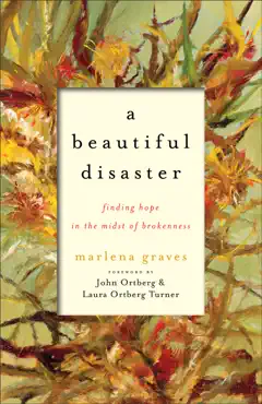 a beautiful disaster book cover image