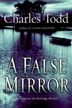 a false mirror book cover image