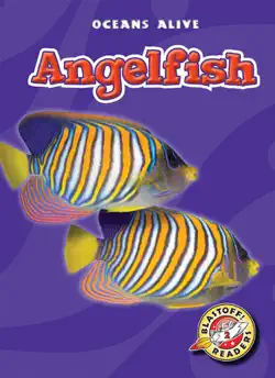 angelfish book cover image