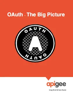 oauth - the big picture imagen de la portada del libro