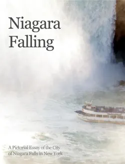 niagara falling book cover image